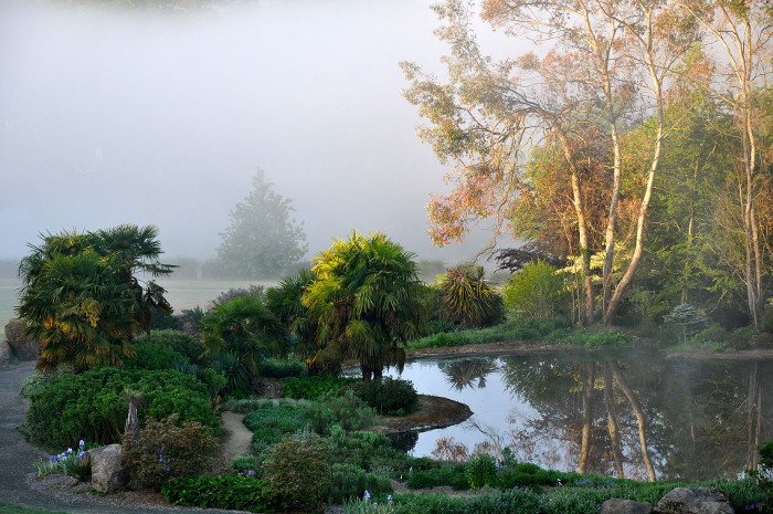 Photo d’un plan d’eau brumeux.