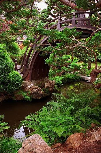 Photographie d’un pont arrondi en demi-lune dans un parc