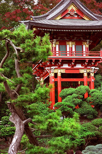 Photographie d’un temple japonais dans un parc.