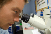 Scientifique qui regarde dans un microscope.