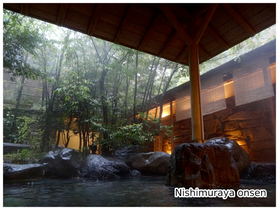 Photo d’un onsen sous abri de bois avec de la végétation autour