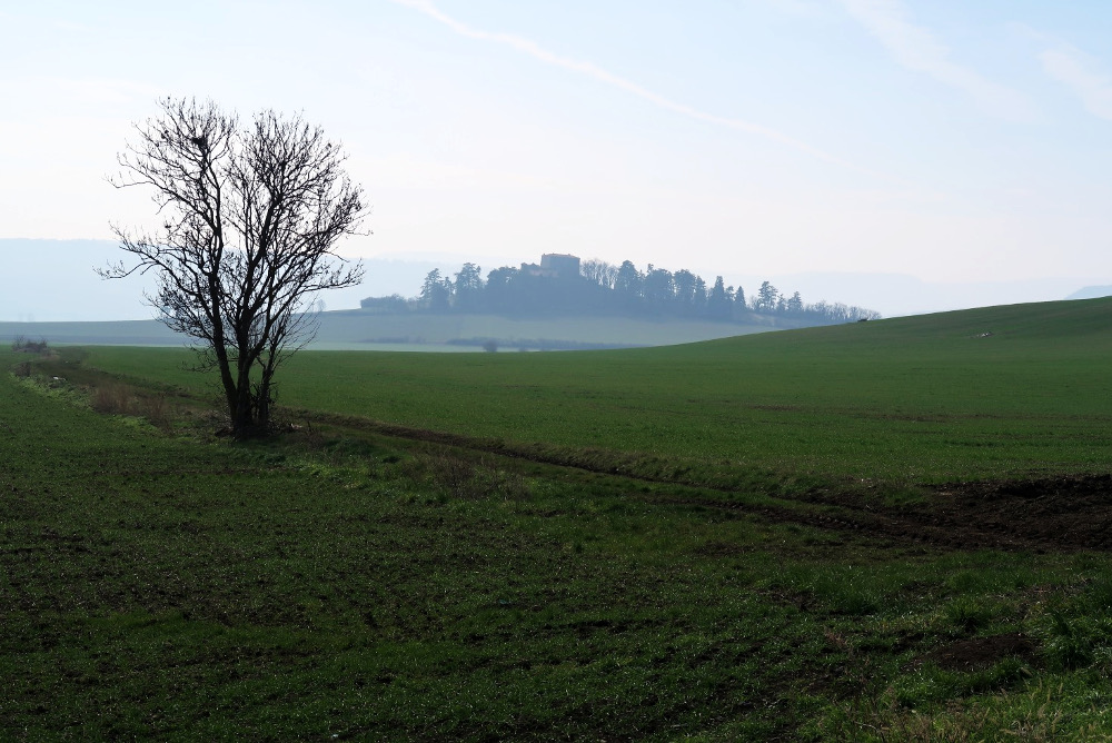 photo d’un triste paysage auvergnat