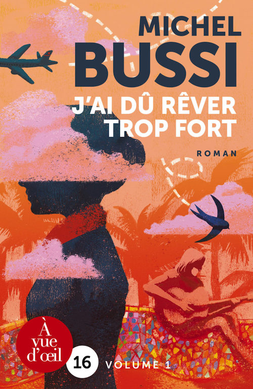 Couverture du roman orangée représentant la silhouette d’une hôtesse de l’air, un guitariste et une hirondelle.