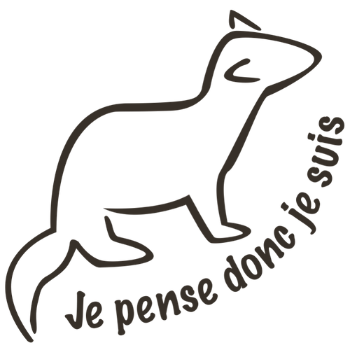 furet pensif je pense donc je suis