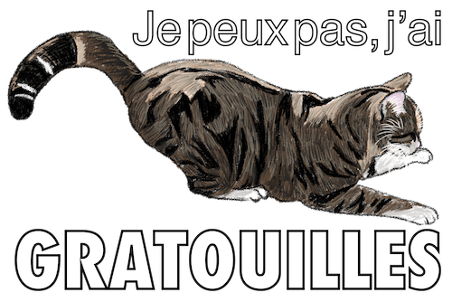 chat qui s'étire je peux pas j'ai gratouilles