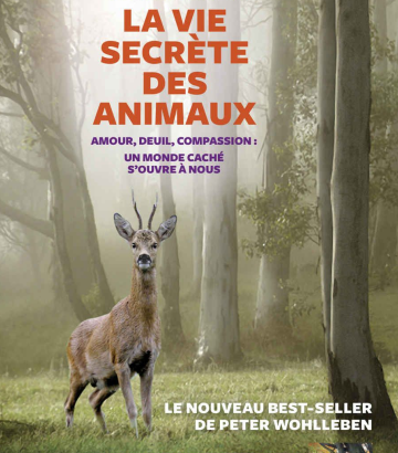 Couverture du livre La vie secrète des animaux représentant un chevreuil dans les bois.