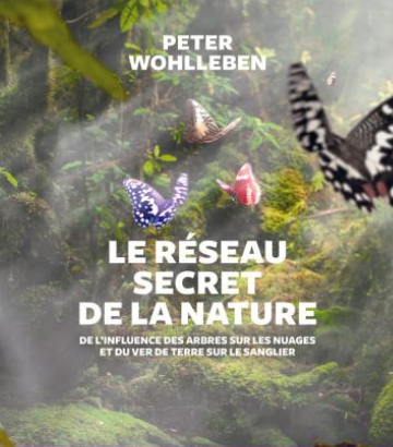 Couverture du livre Le réseau secret de la nature représentant des papillons en forêt.