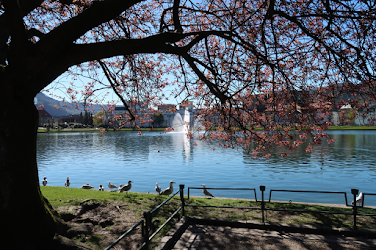 Parc de Bergen.