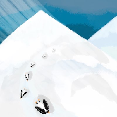 Colonie de pingouins qui glisse sur le flanc d'une montagne.