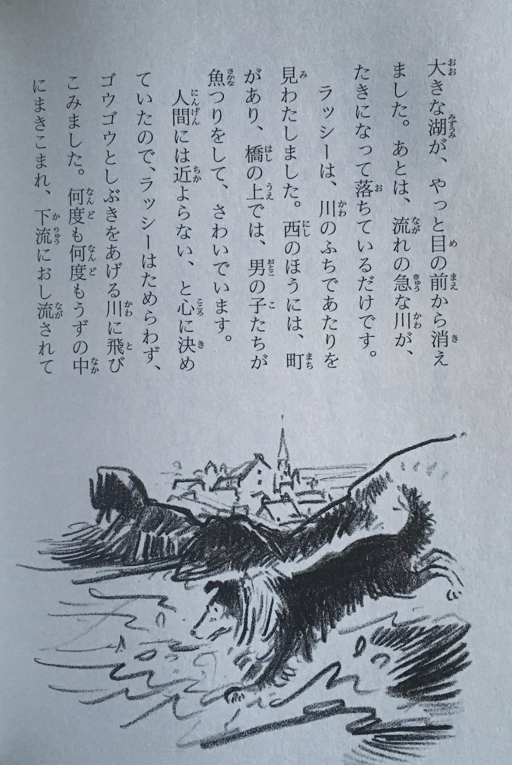 page du roman en japonais.