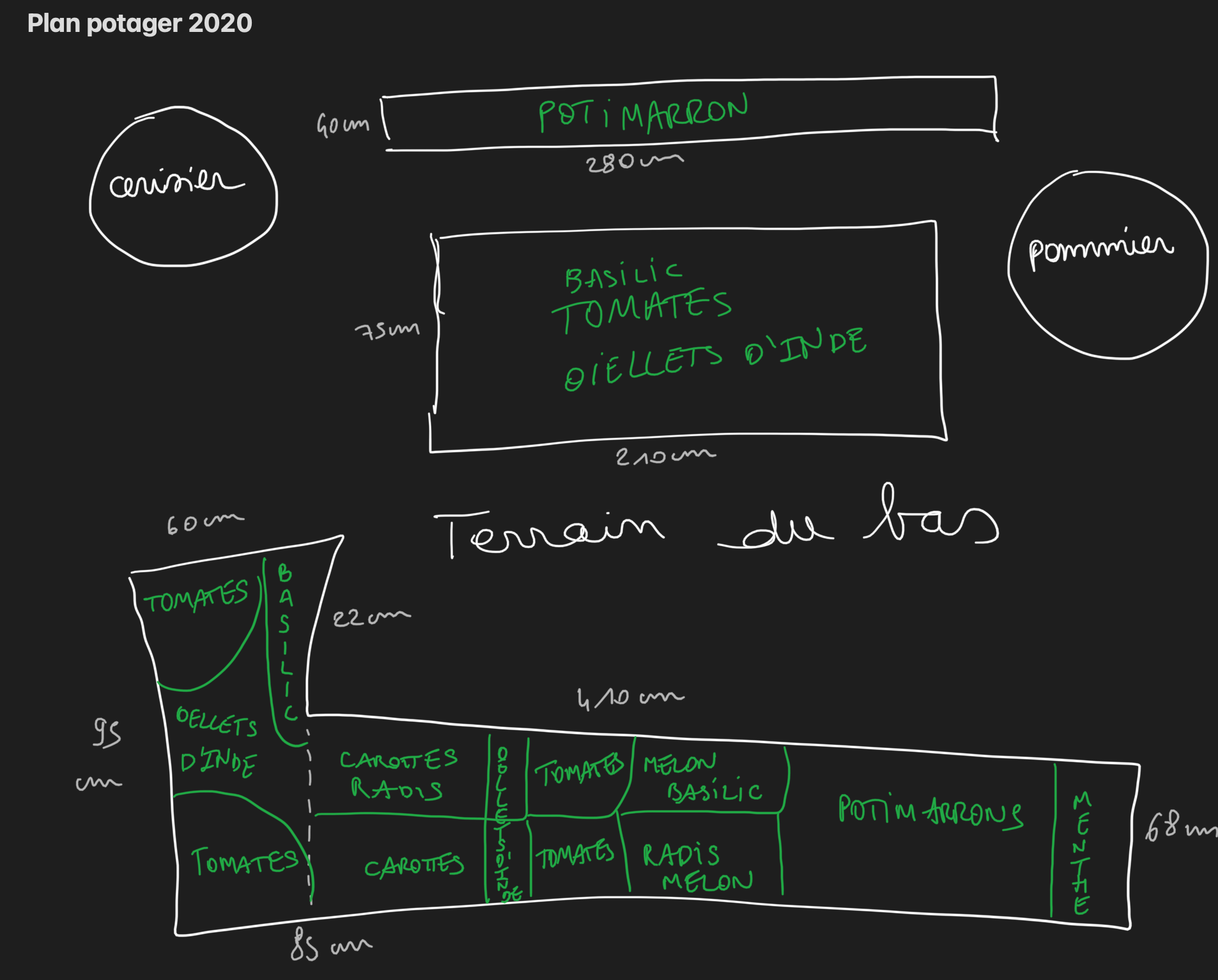 plan 2020 de la partie basse du potager, devant la terrasse
