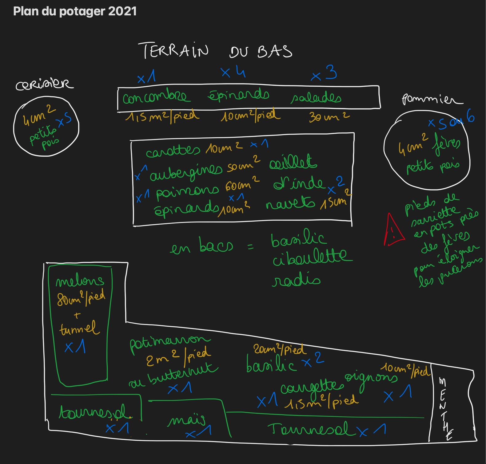 plan provisoire 2021 de la partie basse du potager, devant la terrasse, entre les arbres fruitiers