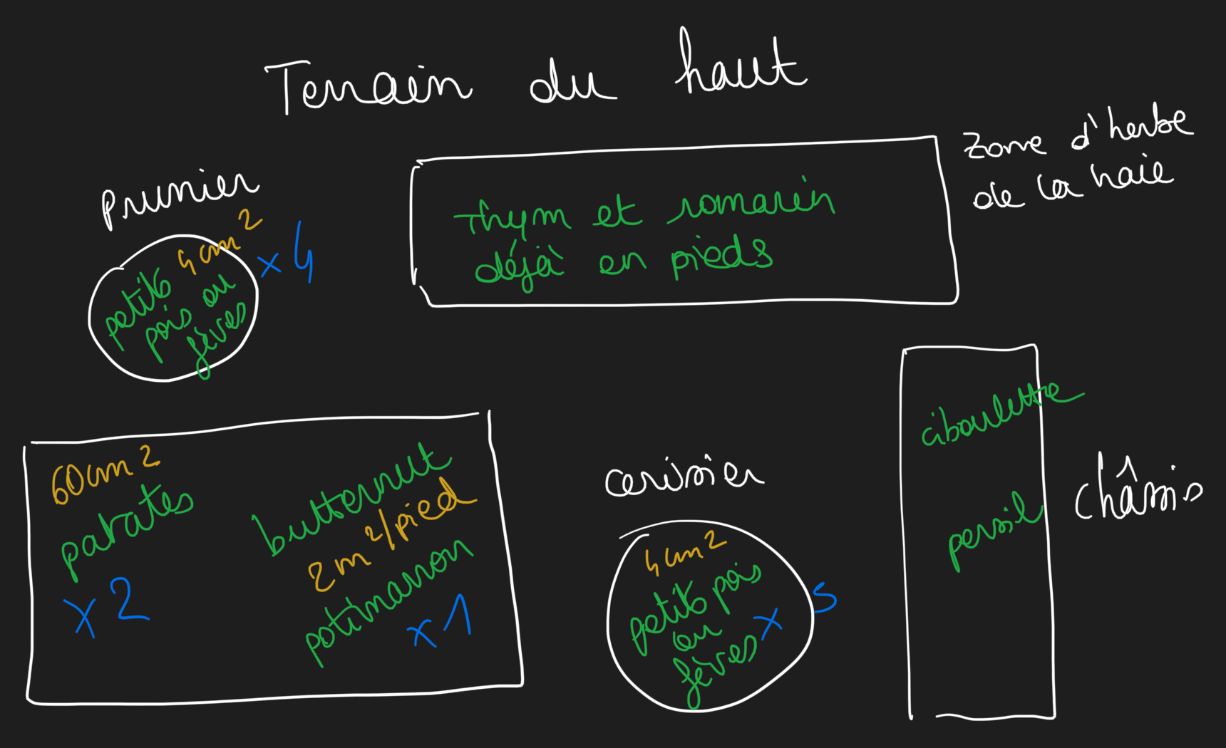 plan provisoire 2021 de la partie haute du potager, entre le prunier et le cerisier, avec le châssis