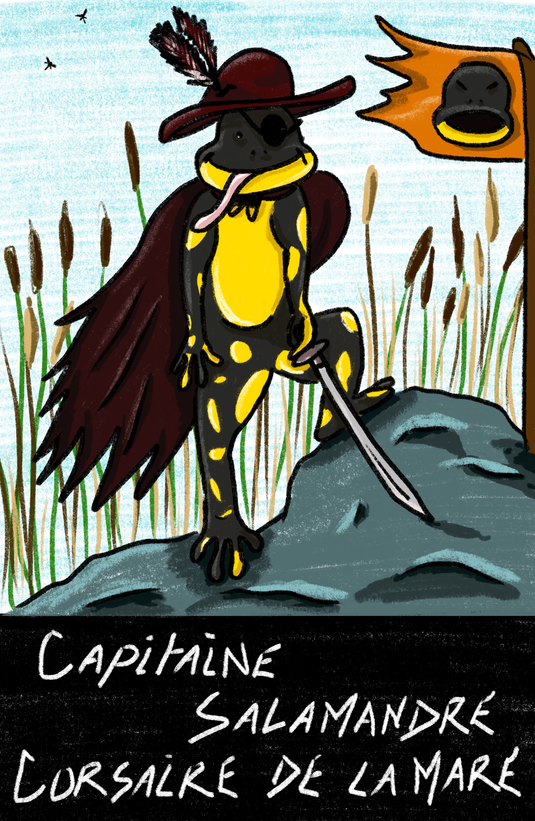 Dessin d’une salamandre noire et jaune anthropomorphisée avec un costume de pirate.