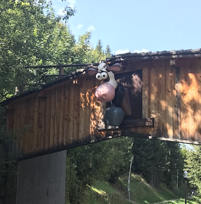 Vache rigolote dont la tête dépasse d’un pont.