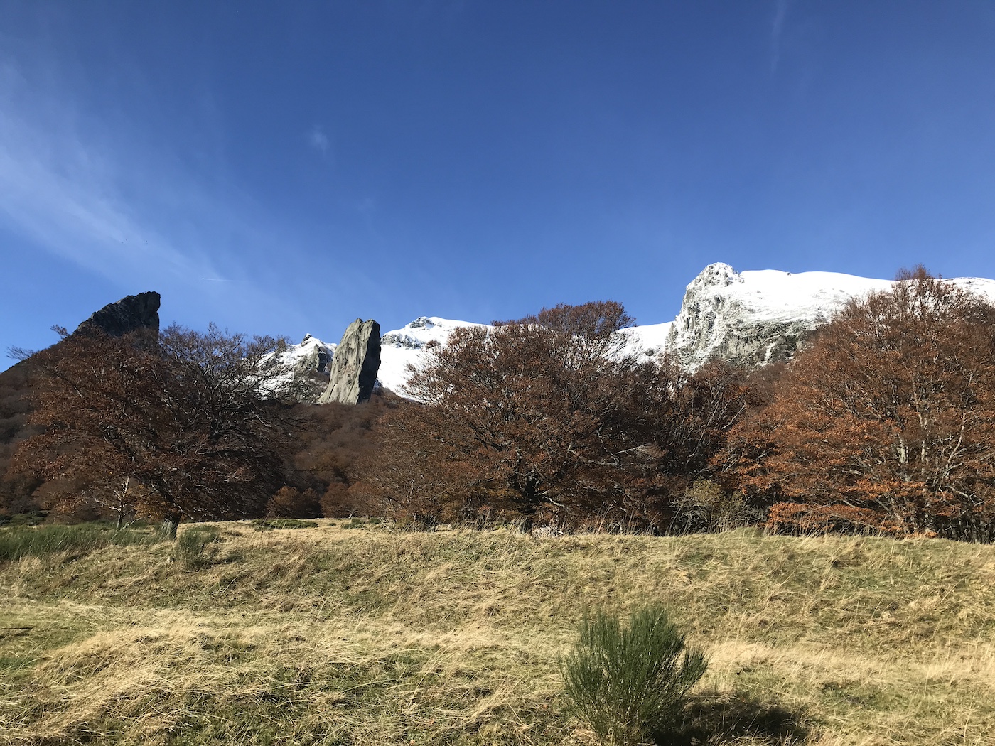 Dent de la rancune.