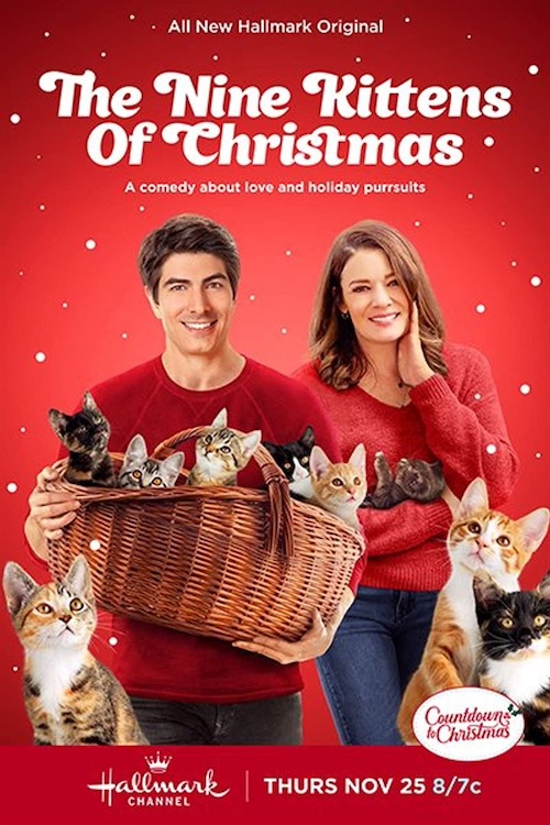 affiche du film représentant un couple avec des chatons.