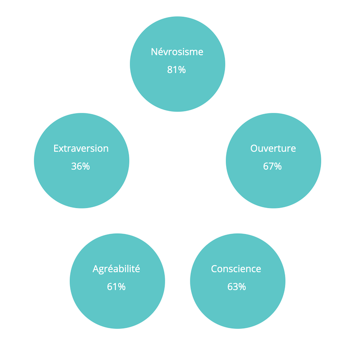 Image de profil détaillant les différents aspects de la personnalité obtenus à partir des réponses au Big 5.