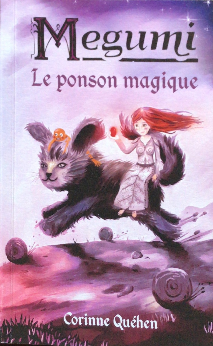 couverture du livre