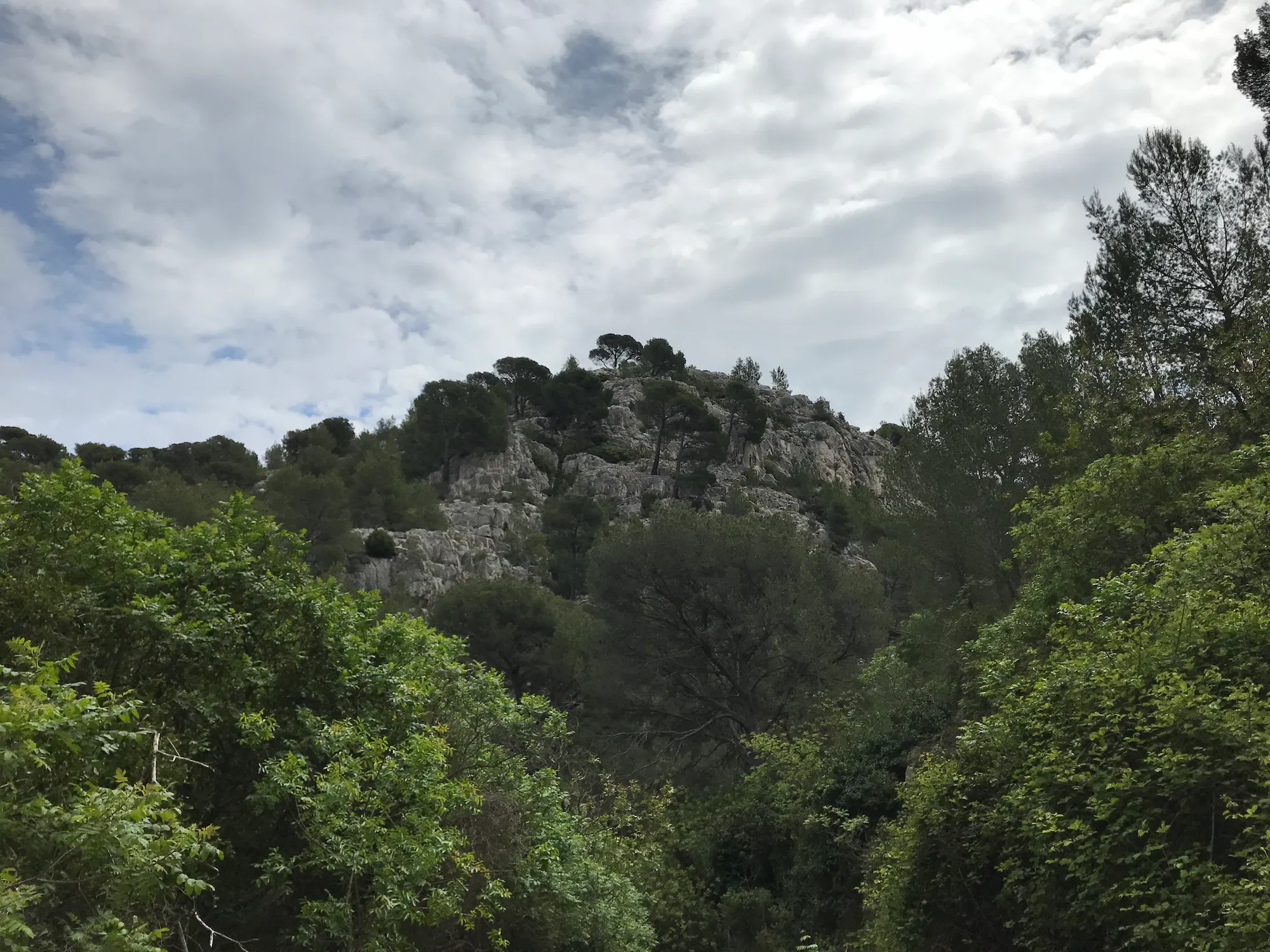 Paysage.