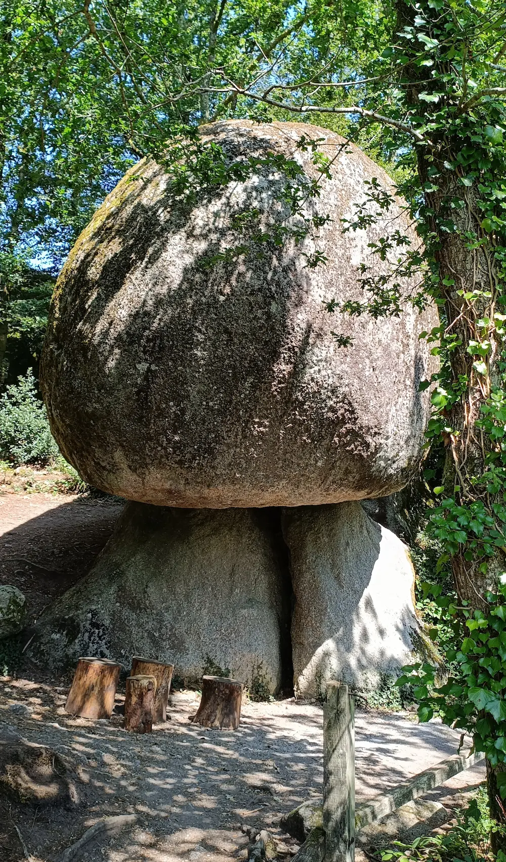 Le champignon en pierres.