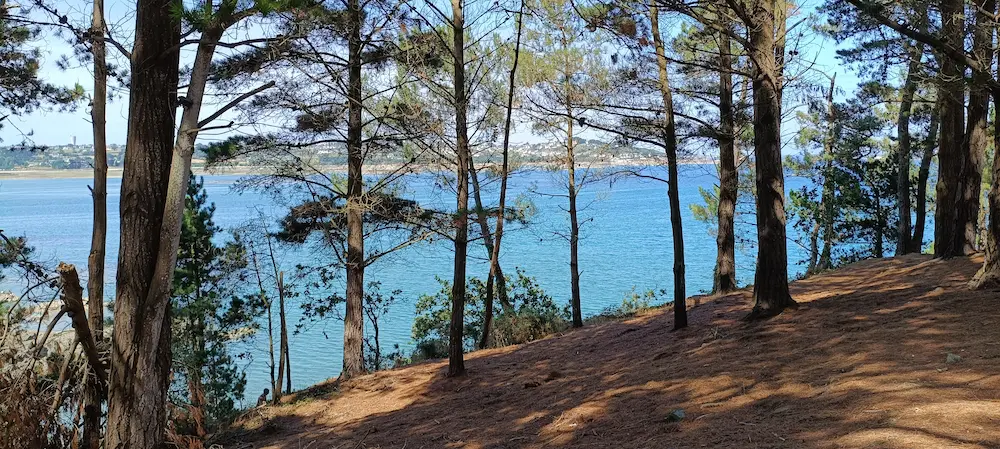La mer derrière la forêt.