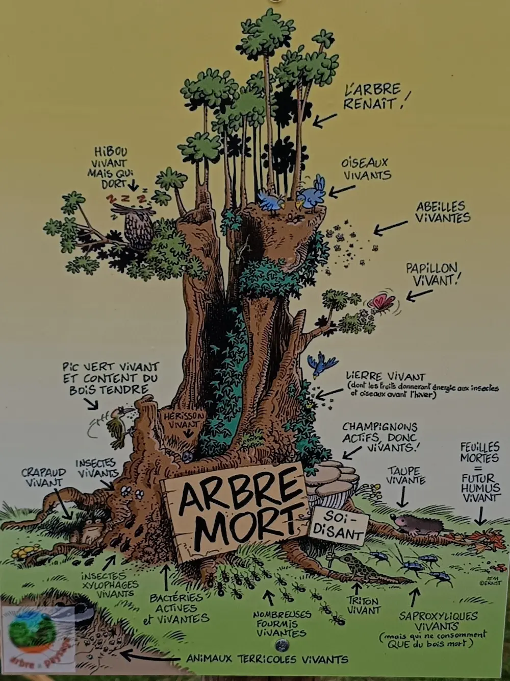 Affiche sur le vivant.