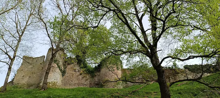 Le château de Bressuire.
