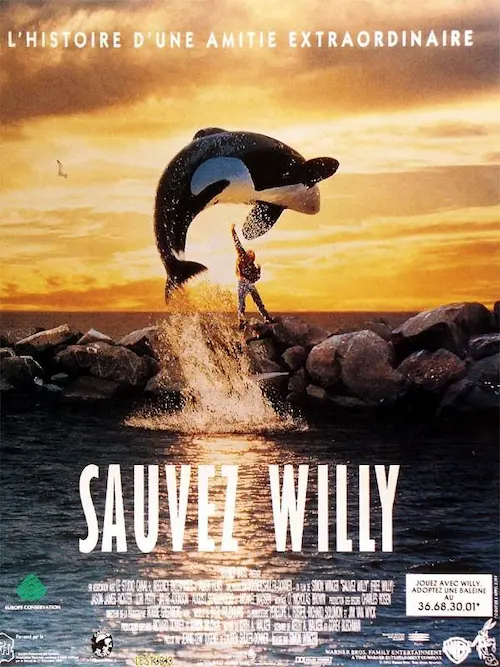 Affiche du film Sauvez Willy représentant une orque sautant au-dessus d'une digue au soleil couchant, avec un garçon debout sur la digue.